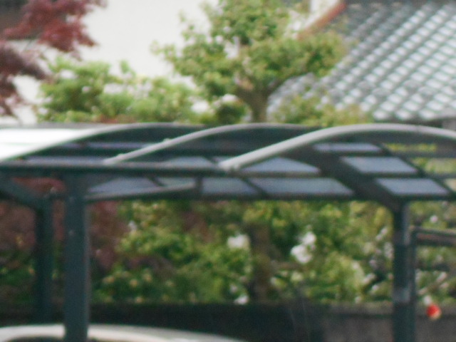 カーポート屋根調査