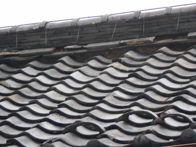 屋根調査