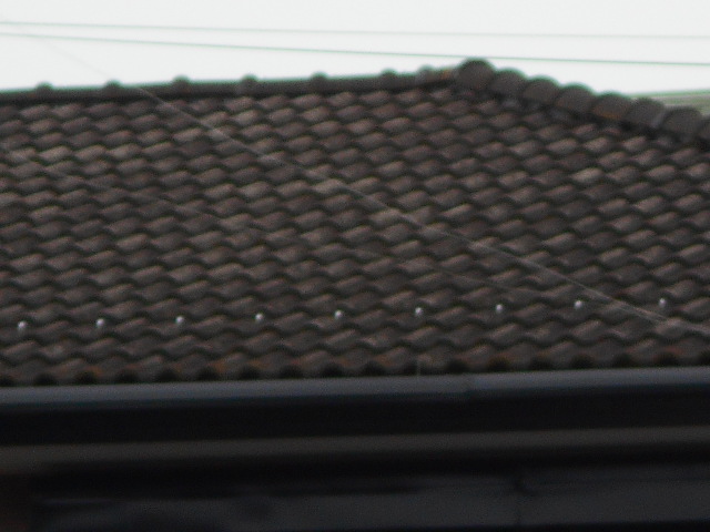 モニエル瓦屋根調査