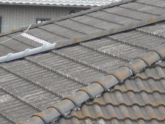 モニエル瓦屋根調査