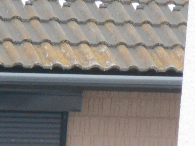 モニエル瓦屋根調査
