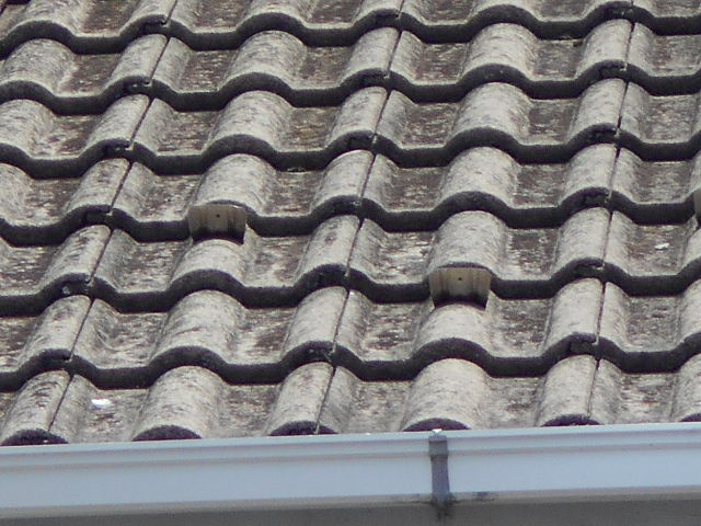 モニエル屋根調査