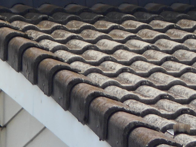 モニエル屋根調査