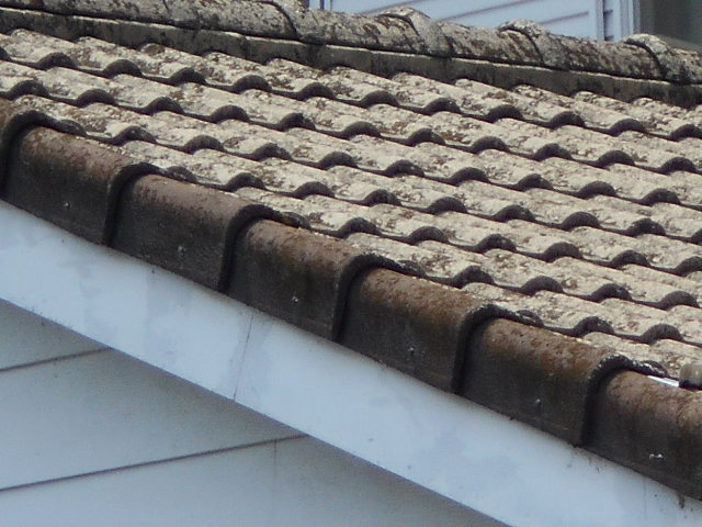 モニエル屋根調査