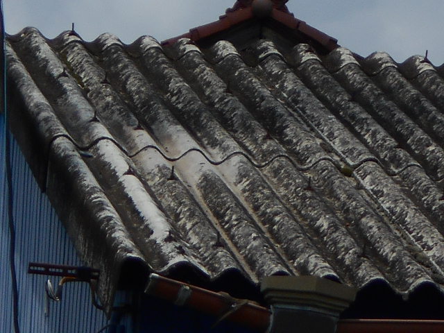 大波スレート屋根調査