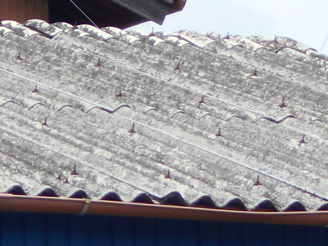 大波スレート屋根調査