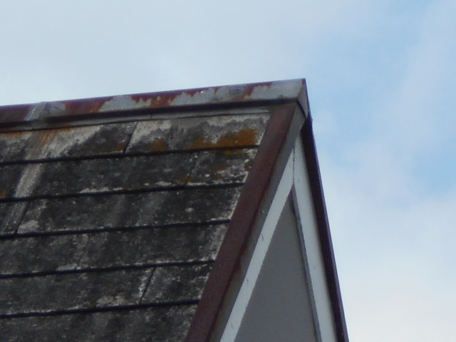 カラーベスト屋根調査