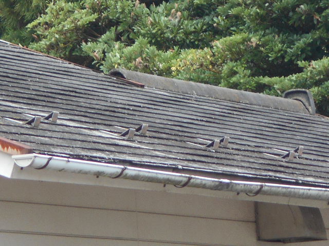 カラーベスト屋根調査