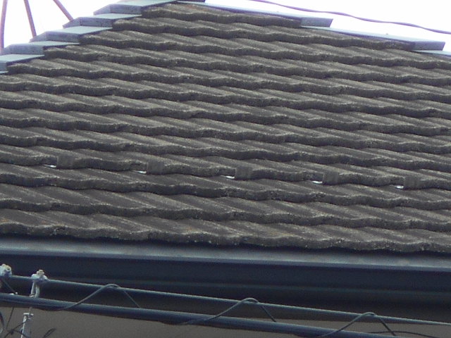 モニエル屋根調査