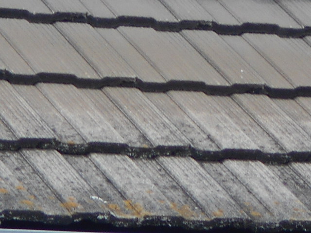 モニエル瓦屋根調査