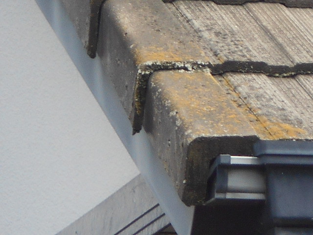 モニエル瓦屋根調査