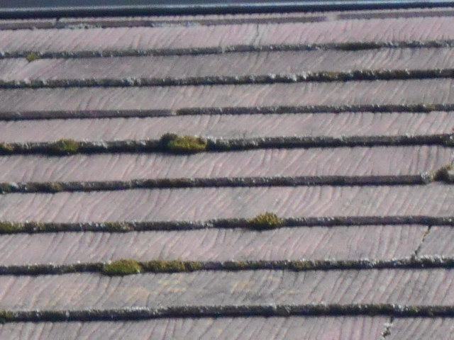 カラーベスト屋根調査