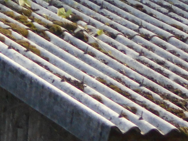 大波スレート屋根調査