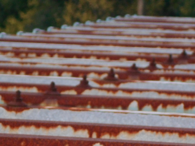 ルーフデッキ屋根調査