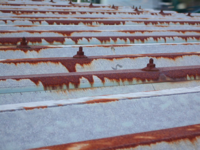 ルーフデッキ屋根調査