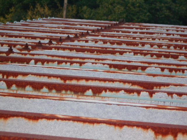 ルーフデッキ屋根調査