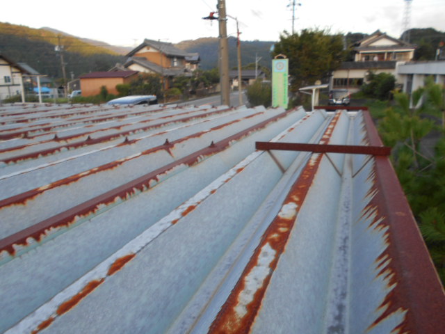 ルーフデッキ屋根調査