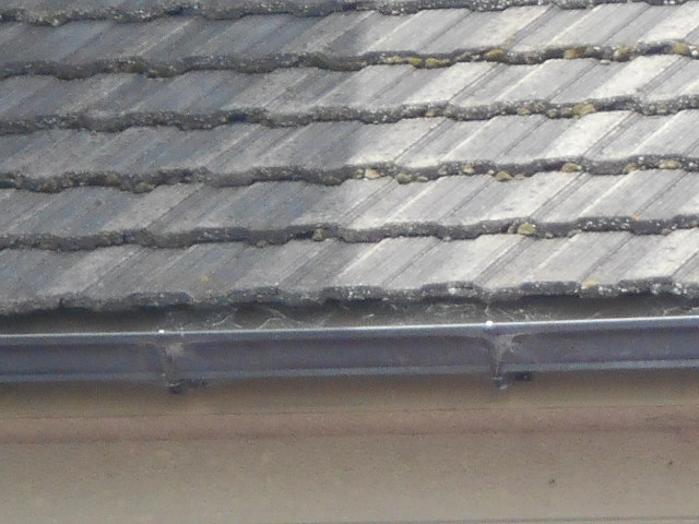 モニエル瓦調査