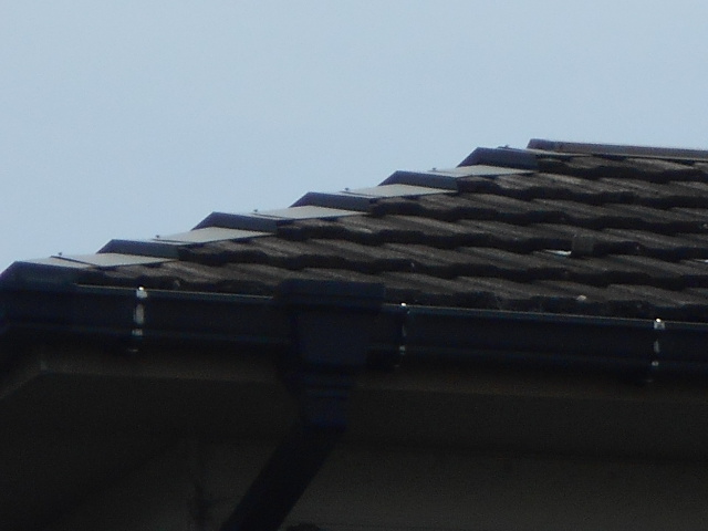 モニエル瓦調査