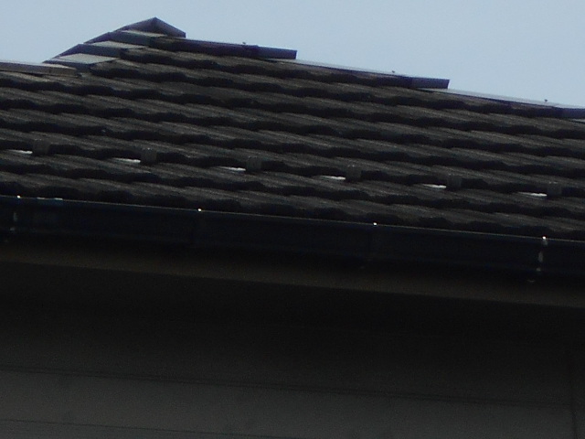 モニエル瓦調査