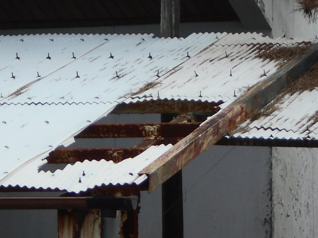 塩ビ波板屋根現場調査