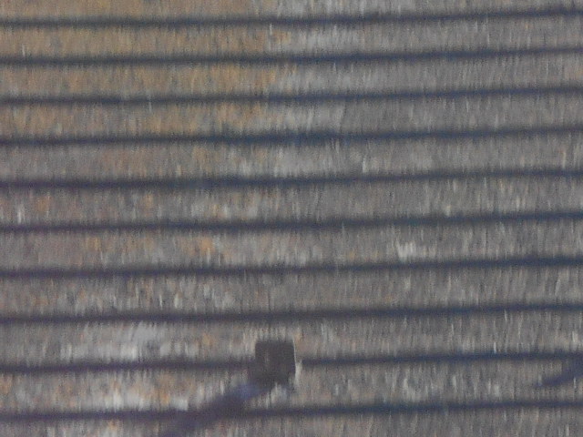 カラーベスト屋根調査