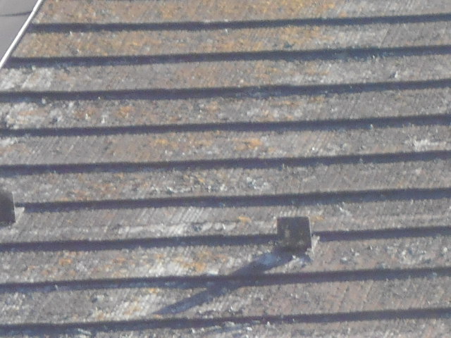 カラーベスト屋根調査