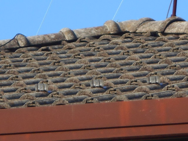 モニエル瓦調査