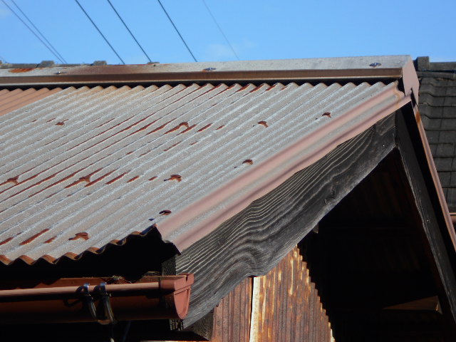 波トタン屋根調査
