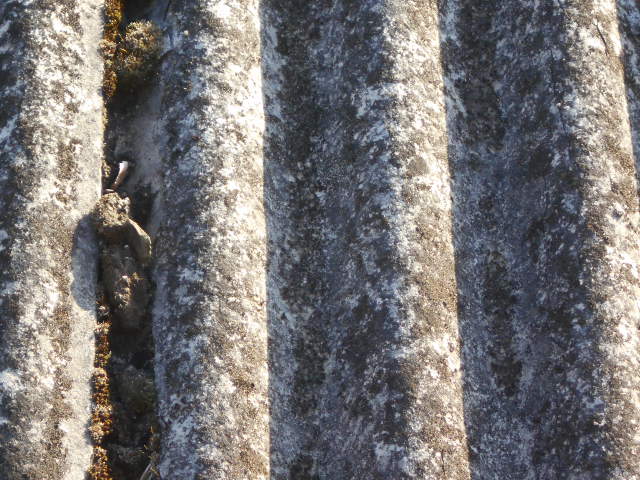 大波スレート屋根調査