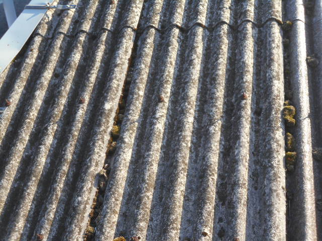 大波スレート屋根調査
