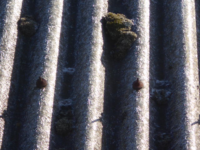 大波スレート屋根調査