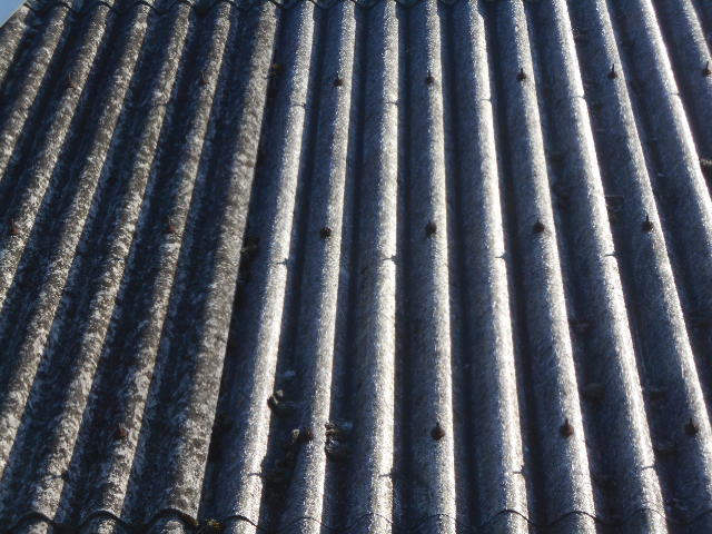 大波スレート屋根調査