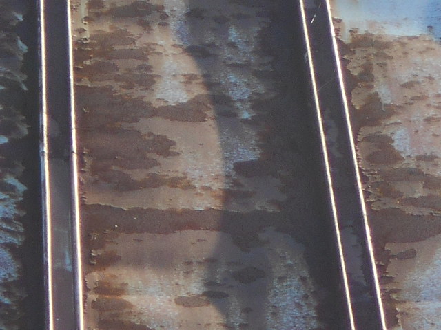 カラートタン瓦棒屋根調査