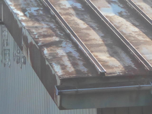 カラートタン瓦棒屋根調査