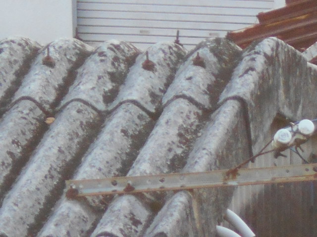 大波スレート屋根調査