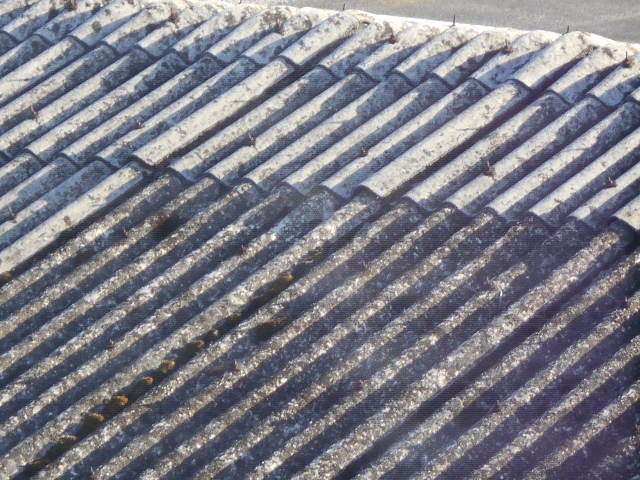 大波スレート屋根調査