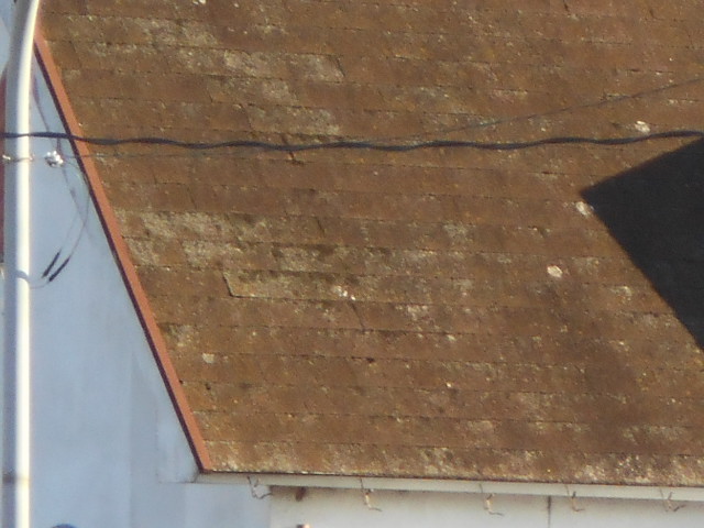 カラーベスト屋根調査