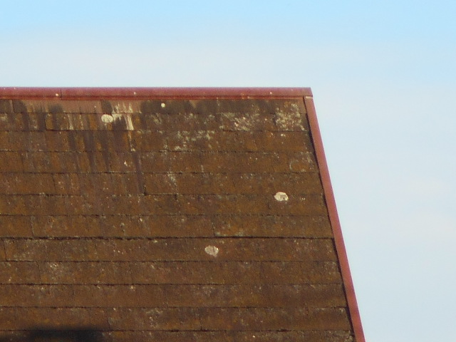 カラーベスト屋根調査