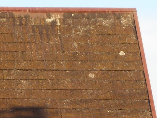 カラーベスト屋根調査