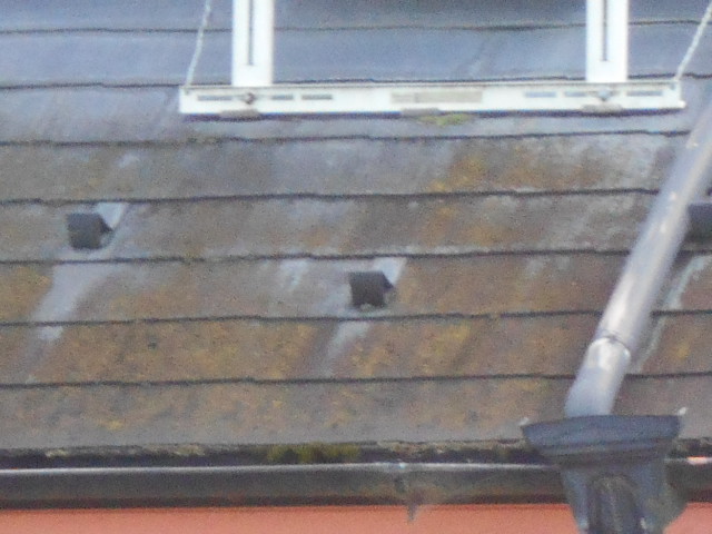 カラーベスト屋根調査