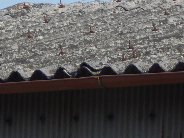 大波スレート屋根調査