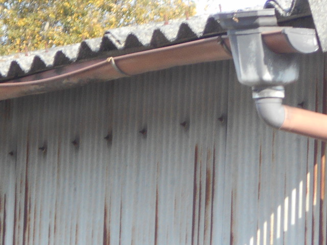 大波スレート屋根調査