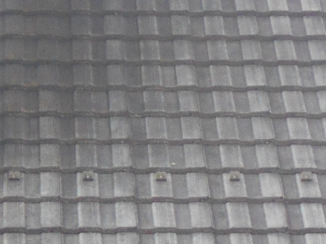 モニエル瓦調査