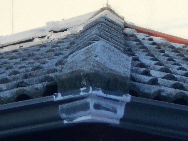 モニエル瓦屋根調査