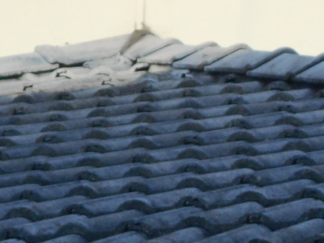 モニエル瓦屋根調査