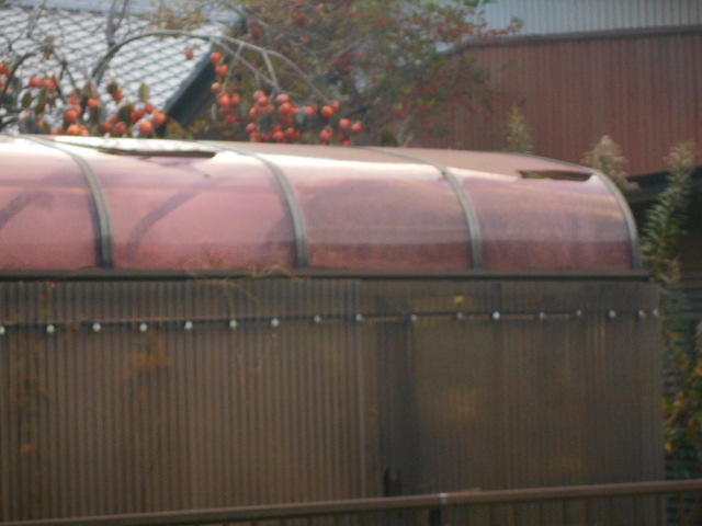 カーポート屋根調査