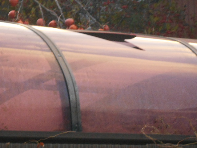 カーポートの屋根調査