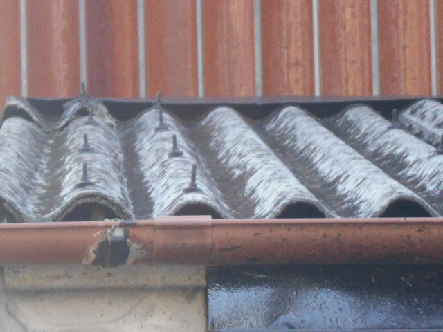 大波スレート屋根調査