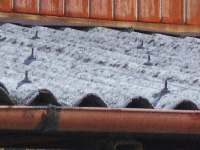 大波スレート屋根調査